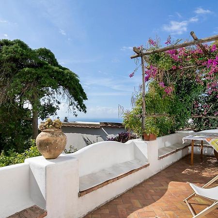 Bed and Breakfast Il Geranio Anacapri  Zewnętrze zdjęcie