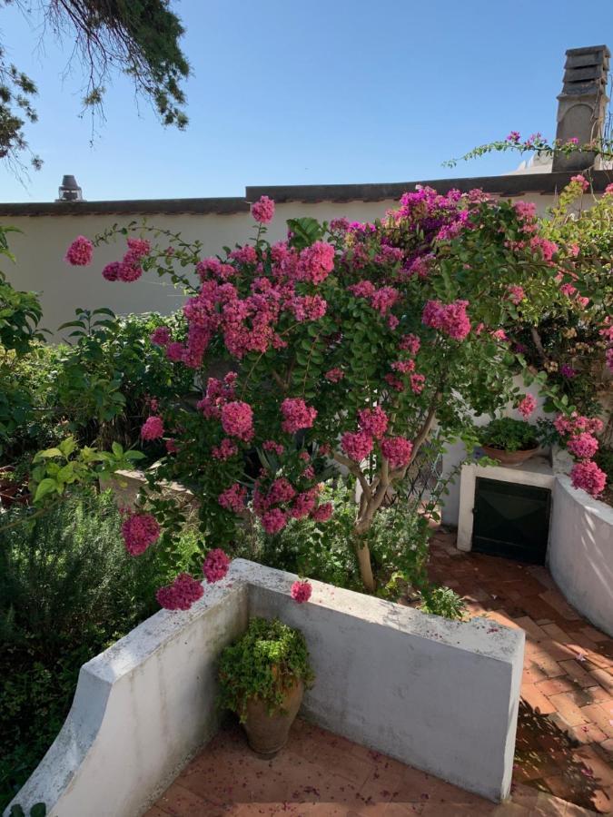 Bed and Breakfast Il Geranio Anacapri  Zewnętrze zdjęcie